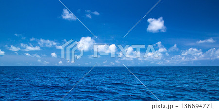 tropical beach in Maldives 136694771