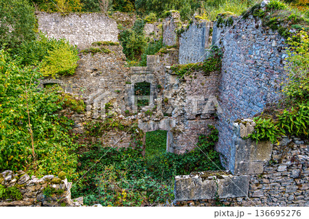 Ruins of the Royal Weapons and Ammunition Factory of Orbaizeta. Navarre. Spain Ruins of the Royal Weapons and Ammunition Factory of Orbaizeta. Navarre. Spain 136695276