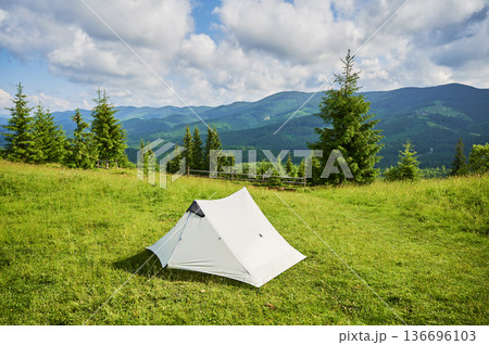 White tourist tent on sunlit, grassy hilltop, surrounded by young pine trees. Panoramic view of lush, rolling mountains under bright blue sky with scattered clouds, creating idyllic camping spot. 136696103