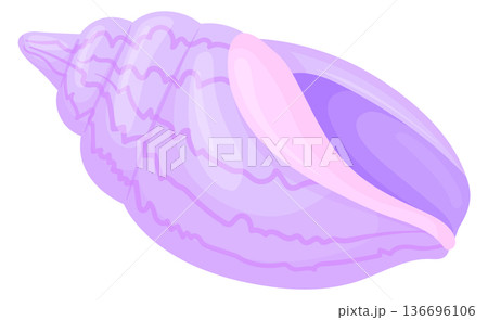 Nutmeg shell. Spiral beach conch cartoon icon Nutmeg shell. Spiral beach conch cartoon icon 136696106