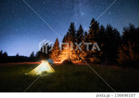 Several tents illuminated by glowing campfire in grassy clearing under clear, starry sky. Surrounded by tall pine trees in the mountains. Tranquil beauty of night spent camping in nature. 136696107