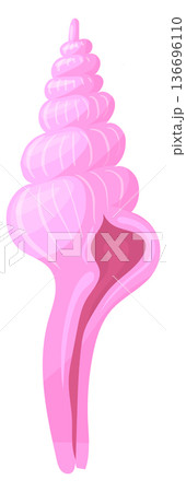 Pink horse conch shell. Aquarium decoration icon 136696110