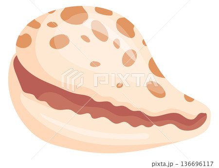 Cowrie shell cartoon icon. Exotic beach seashell 136696117
