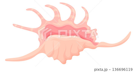 Spider conch cartoon icon. Exotic sea shell Spider conch cartoon icon. Exotic sea shell 136696119