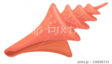 Miter shell. Spiral aquatic fauna cartoon icon 136696131