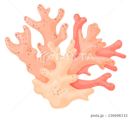 Coral polyp. Reef branch cartoon aquatic icon 136696132