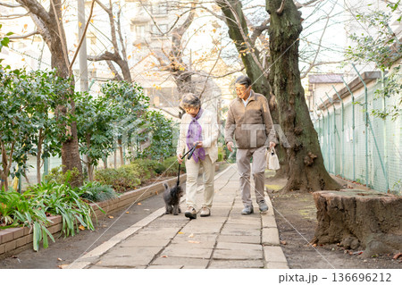 犬と散歩をするシニア夫婦 犬と散歩をするシニア夫婦 136696212