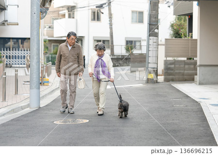 犬と散歩をするシニア夫婦 犬と散歩をするシニア夫婦 136696215