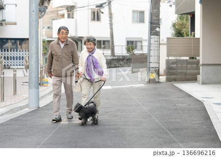 犬と散歩をするシニア夫婦 犬と散歩をするシニア夫婦 136696216