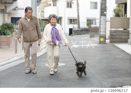 犬と散歩をするシニア夫婦 136696217