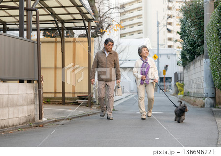 犬と散歩をするシニア夫婦 犬と散歩をするシニア夫婦 136696221