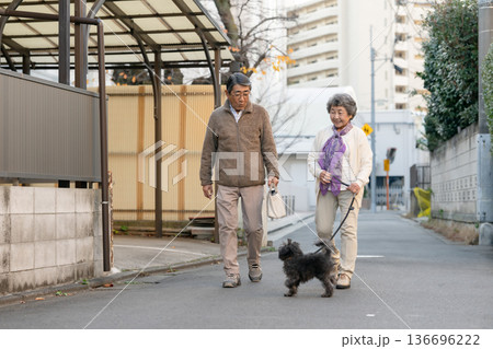 犬と散歩をするシニア夫婦 136696222