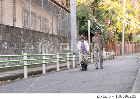 犬と散歩をするシニア夫婦 犬と散歩をするシニア夫婦 136696229