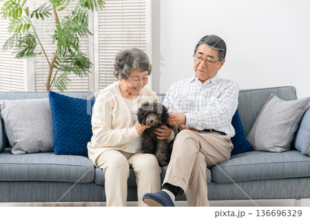 リビングで犬と過ごすシニア夫婦 リビングで犬と過ごすシニア夫婦 136696329
