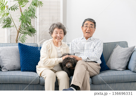 リビングで犬と過ごすシニア夫婦 136696331