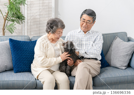 リビングで犬と過ごすシニア夫婦 136696336