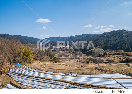 祝戸の棚田風景　国営飛鳥歴史公園祝戸地区　奈良県 136696565