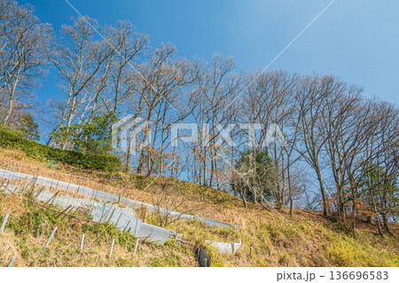 国営飛鳥歴史公園祝戸地区　奈良県 136696583