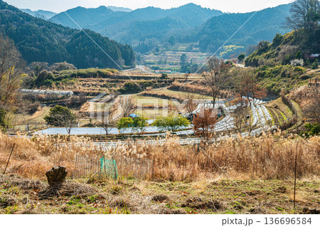 祝戸の棚田風景　国営飛鳥歴史公園祝戸地区　奈良県 136696584