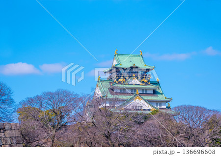冬の大阪城 136696608
