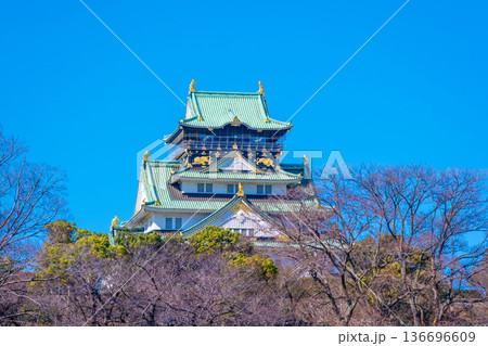 冬の大阪城 冬の大阪城 136696609