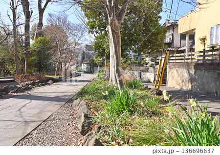 越谷散歩:遊歩道 越谷市瓦曽根 越谷散歩:遊歩道 越谷市瓦曽根 136696637