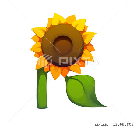 Cartoon letter R as a sunflower with green stem and yellow petals, cheerful farm themed abc character. Vector agriculture typeface, farm font, harvest type, funny English alphabet as garden flower 136696803