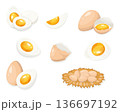 Eggs Illustration Set with Boiled Cut and Cracked Eggs 136697192