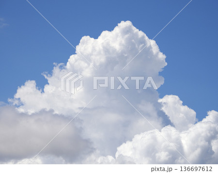 下からわき上がる積雲 下からわき上がる積雲 136697612