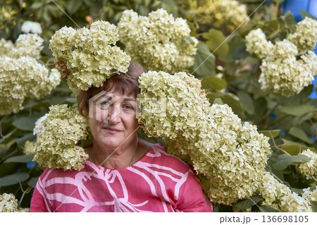 a senior woman sitting among blooming hydrangea flowers in a summer garden 136698105