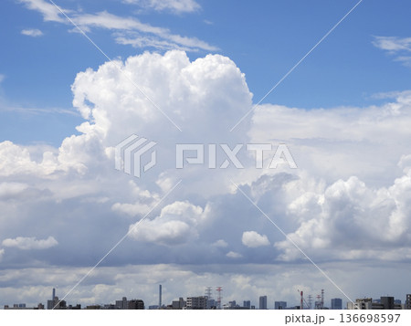 下からわき上がる積雲 下からわき上がる積雲 136698597