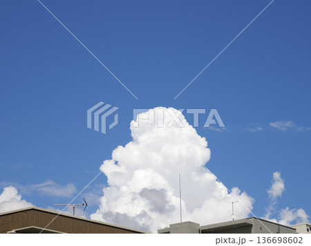 下からわき上がる積雲 136698602