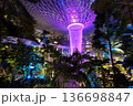 ジュエル・チャンギエアポートの人工滝 136698847