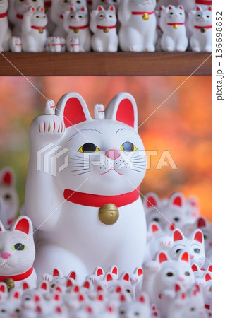 豪徳寺の招き猫と紅葉 豪徳寺の招き猫と紅葉 136698852