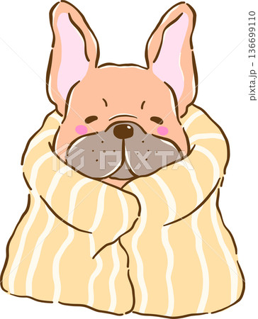 Cozy French Bulldog  Work from Home Wrapped in Blanket Cartoon Hand Drawn 136699110