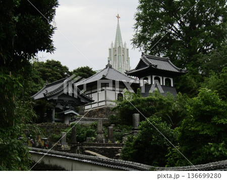 長崎県平戸市、平戸ザビエル記念教会と周囲の寺院が織りなす珍しい空間、寺院と教会の見える風景 長崎県平戸市、平戸ザビエル記念教会と周囲の寺院が織りなす珍しい空間、寺院と教会の見える風景 136699280