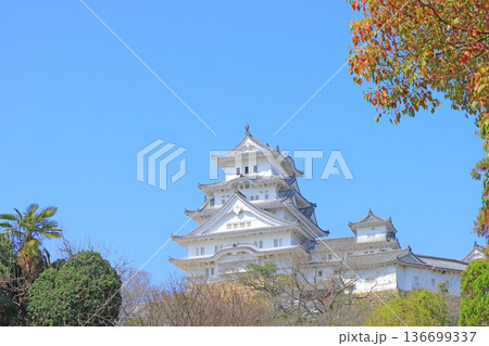 兵庫県姫路市、国宝姫路城の風景 兵庫県姫路市、国宝姫路城の風景 136699337