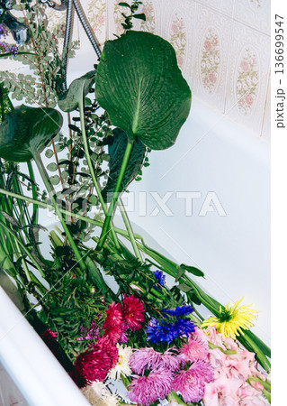 Various colorful flowers with long green stems lie inside white bathtub filled with water. Flower arranging, home-based craft, floral design tutorial, creative wellness, slow living hobbies. Various colorful flowers with long green stems lie inside white bathtub filled with water. Flower arranging, home-based craft, floral design tutorial, creative wellness, slow living hobbies. 136699547