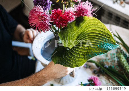 Hands with Large green hosta leaf and colorful asters . sensory plant therapy, tactile floral garden, velvet leaf plants, sensory botanical corner Hands with Large green hosta leaf and colorful asters . sensory plant therapy, tactile floral garden, velvet leaf plants, sensory botanical corner 136699549