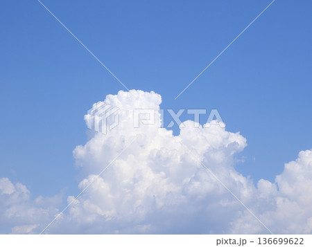 下からわき上がる積雲 136699622