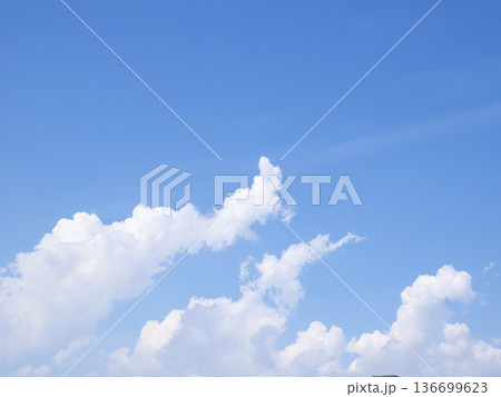 下からわき上がる積雲 下からわき上がる積雲 136699623