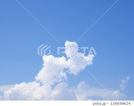 下からわき上がる積雲 下からわき上がる積雲 136699624