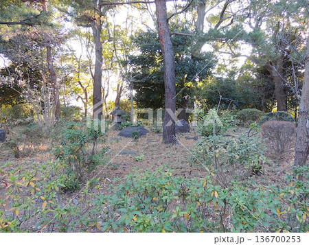 哲学堂公園　百科叢 136700253