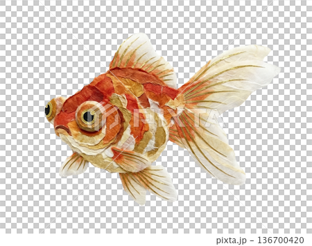 和紙で表現したデメキンの切り絵コラージュ 和紙で表現したデメキンの切り絵コラージュ 136700420