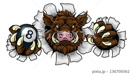 Boar Wild Hog Razorback Warthog Pig Pool Mascot Boar Wild Hog Razorback Warthog Pig Pool Mascot 136700562