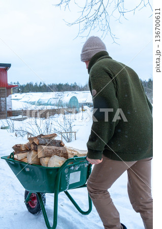 Stacking Firewood Outdoors in Snowy Countryside. 136700611