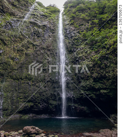 At PR9 end in Madeira, Caldeirao Verde Waterfall plunges into emerald pool, mossy basalt At PR9 end in Madeira, Caldeirao Verde Waterfall plunges into emerald pool, mossy basalt 136700673