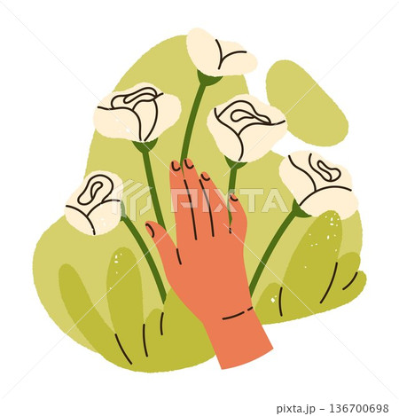 Female hand touching of blooming flowers. Harmony with nature vibe. Cottagecore and whimsical countryside aesthetic. Isolated vector illustration	 136700698