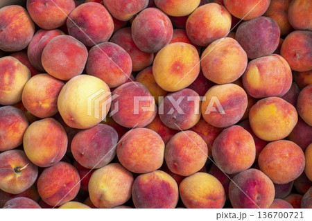 A close-up view of a harvest of ripe peaches, viewed from above. 136700721