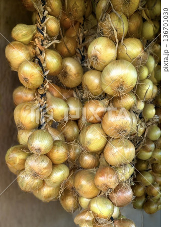 Traditional Onion Braids for Storage Traditional Onion Braids for Storage 136701030